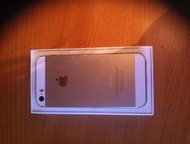 : iPhone 5S 16 GB Gold    ,    .   ,  