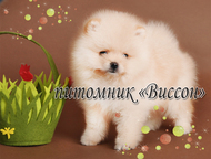 -       .   2 .  17. 01. 2016. ,    ,   ,  -  ,  