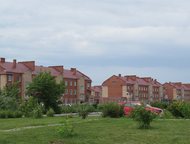 :          ,   2006      .   