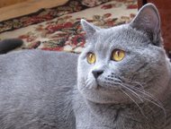 :       ,    sinbad morehod bjuemarins, 3 .   07. 03. 2015.