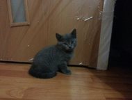 :         ! )        -,     ,   ( 