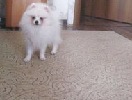  -     -  ,  5 . ,  , , . ,  -  ,  