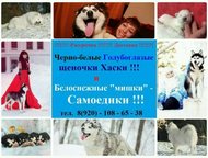  -      , 11    ! 
    ! 
  ! 
 ,  -  ,  -  ,  