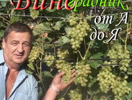               .,  - 
