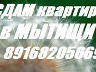  2-   ,   2-   . . ,  -  .  ,   .,  -  
