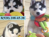     -   !     baby boom = 15   !     !  !,  -  ,  