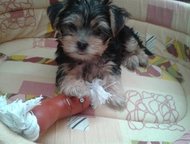       ,   30. 12. 2014 .  -. , , . ,  -  ,  