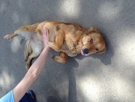 :    !  ,   !    -  ,  .    -   
