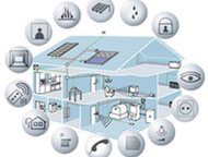 :    ,          .   ,  