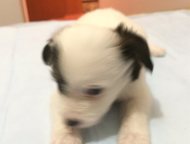 :              