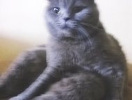 :    , ,  ,   ,      .  , 