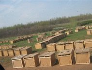 Кызыл: Пчелы в Кызыле Предлагаем купить пчелопакеты Карпатка и Среднерусская. Пчелопакеты 3+1. Отгрузка в регионы Красноярск, Новосибирск, Кемерово, Барнаул 
