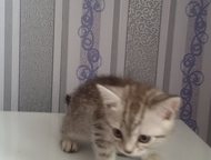 :   5   . 1, 5,      . , ,    !  ! 
    