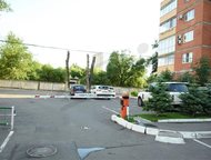 :  ,    2012 .  3   ,  ,  ,      ,   