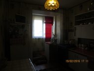 3-, , , , 81 , , 3-  5- ,  3-.  . . 81 . ,  .  (-  ), 3-  5- .,  -  
