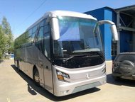    Golden Dragon XML 6126JR(  )             39  59 ,  -  - 