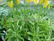 ������: ������� ������� ������� ������� �����������������. 
 ������� ������� �������� ��� ������, ������, ������ � ��. 
 �� ��������� � ��������� (������, ���