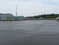  ,          ,  
 
   2500 . . (,  -   