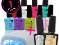 :      Bluesky CND Shellac    150      150       150    