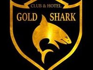   Gold Shark   Gold shark.       ,          ,  -   