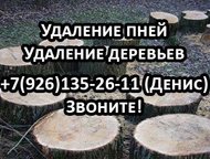    ,          ?         ? ,  -   