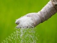   Urea 46%,         (Urea 46%):
 Nitrogen - 46. 00 % min
 Biuret - 1. 00 % max
 Moisture - 0. 5,  - 