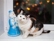 :               -)!     