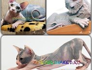 :        AprioriNaked   -  ,    