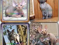 :        AprioriNaked   -  ,    