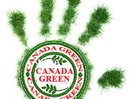 :       canada green premium ()! 
 
    fast start -     = fast st