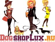 Dog shop Lux - - ,      Dog shop Lux     , ,  - 