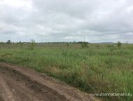   .        ,   ׸    .,  -   