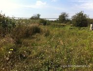   .         ,       . ,  -   