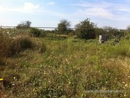 :   .         ,       . 