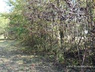 :    .         , . : ,    