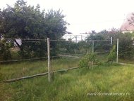 :   .         ,     200 .   . 