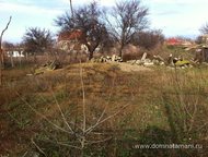 :   .         ,       . 