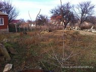 :   .         ,       . 