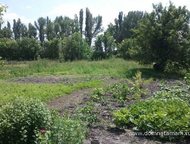   .        ,   ׸   .,  -   