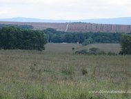   .       ,   ׸   . ,  -   