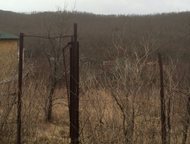 ������: ������������ � ������� ����. ��������� ������ ������� � ������� ���� ����������, ���������� �� ׸����� ���� 10 ��. ������� ������������ � ������� ����