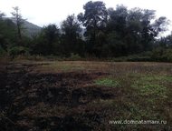   .        ,   ׸  5   . ,  -   