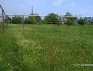 :   .         ,       . 