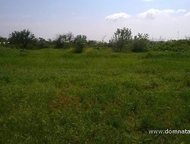 :   .         ,       . 