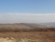   .       ,   ׸    ,  -   