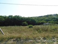 :   .      ,   ׸  2.5 .   . :   .