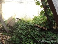   .       ,     100 .   . ,  -   