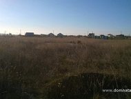 :    .          ,       . 