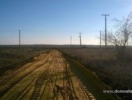 :    .          ,       . 