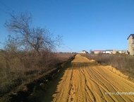 :    .          ,       . 